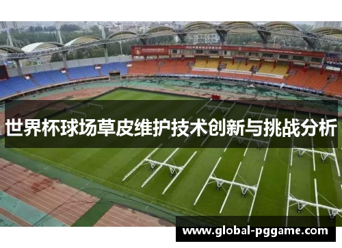 世界杯球场草皮维护技术创新与挑战分析
