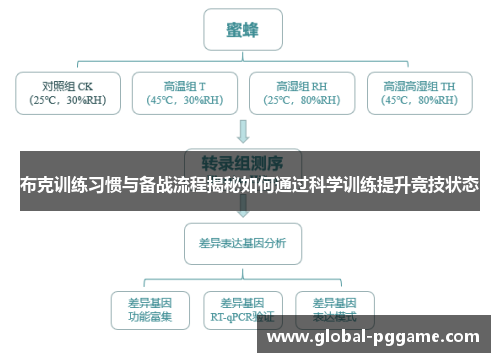 布克训练习惯与备战流程揭秘如何通过科学训练提升竞技状态