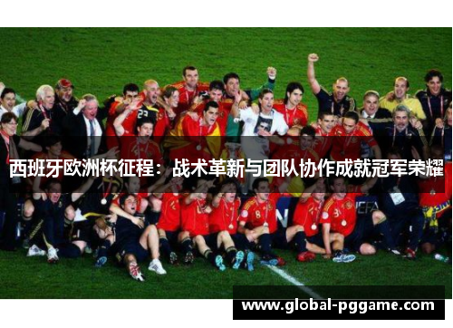 西班牙欧洲杯征程：战术革新与团队协作成就冠军荣耀