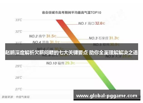 赵鹏深度解析欠薪问题的七大关键要点 助你全面理解解决之道
